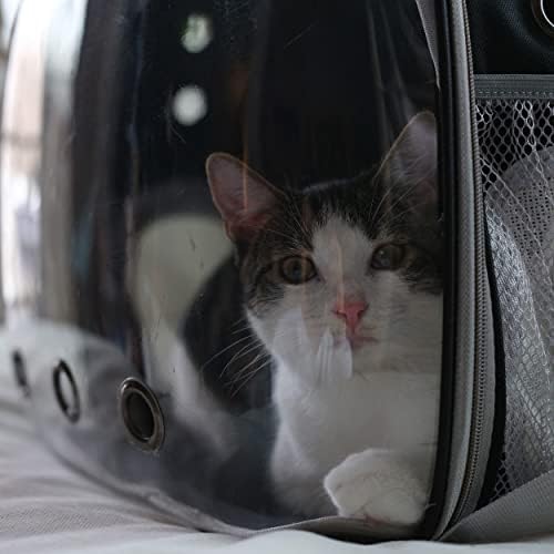 Mimu Backpack Backpack Cat Carrier Bag - Grande tampa de 13 lb Clear Pet Travel Travel Cat Mackpack para pequenos animais
