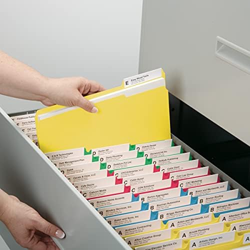 Pasta de arquivo de bacias hidrográficas/sem cortes, aba de 1/3 de corte, tamanho da letra, cores variadas, 100 por caixa