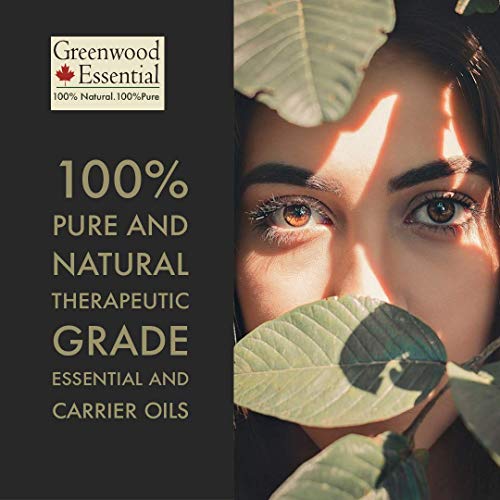Greenwood Essential Pure Night Primrose Oil Natural terapêutico frio pressionado para cuidados pessoais 200ml