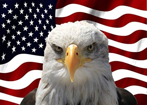 Rogue River Americano Americano Mad Mad Bald Eagle Us Flag Car Decal