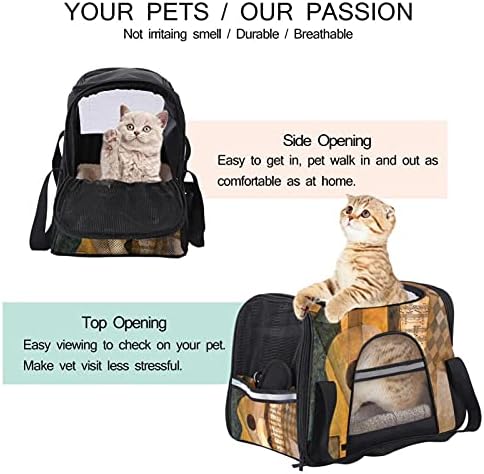 Pet Transportrier Guitar and Music Squitura Soft-sided Pet Travel Travel para gatos, cães cachorros conforto portátil portátil