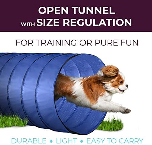 Equipamento de treinamento de agilidade para cães, conjunto completo, túnel de cães, salto, obstáculo, argola, pólos pistas de