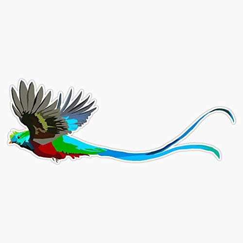 Quetzal Decals Vinil Bumper Adtenhor 5