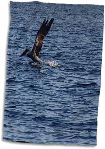 3drose florene birds - Pelican Landing - toalhas