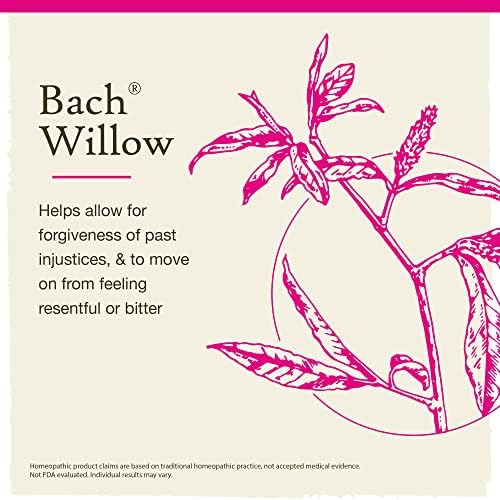 Bach Remédios originais de flores, salgueiro para perdão, essência natural de flores homeopáticas, bem -estar holístico e alívio