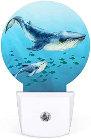 DXTKWL Aquarela Ocean Whale Fish Round Night Lights 2 pacote, Animal marinho Plug-in Led Nightlights Dusk Auto para Lâmpada de
