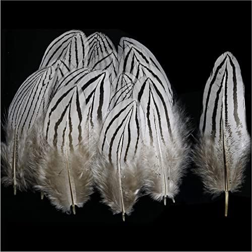 Pena de frango prateado Luorng 20pcs 5-10cm / 2-4inch Nature White Silver Chicken Feather para colecionamento DIY decorativo