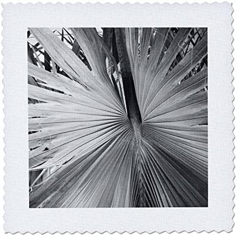 Imagem de 3drose de foto de close -up de planta de palmeira preta e branca - quadrados de colcha