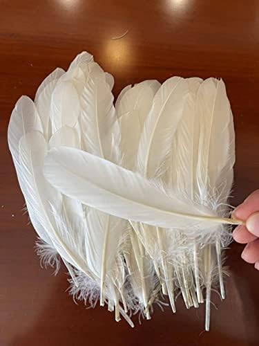 ERICOTRY 100pcs 6-9 polegadas de penas brancas de casamento caseiro de aniversário decoração de festa de festa de ganso
