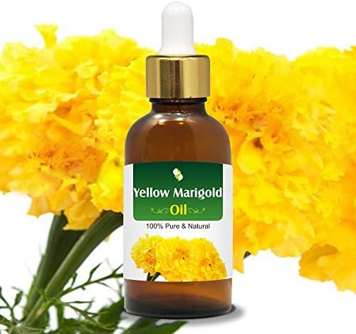 Desenvolto amarelo de aromaterapia natural pura terapêutica sem diluída Óleo essencial não diluído