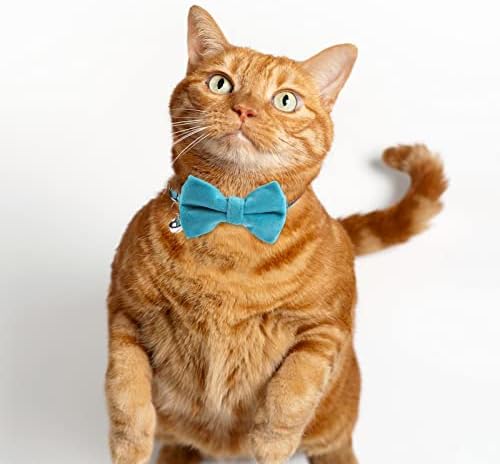 4 PCs colares de veludo gato de gato de gato de gato de gravata borbole