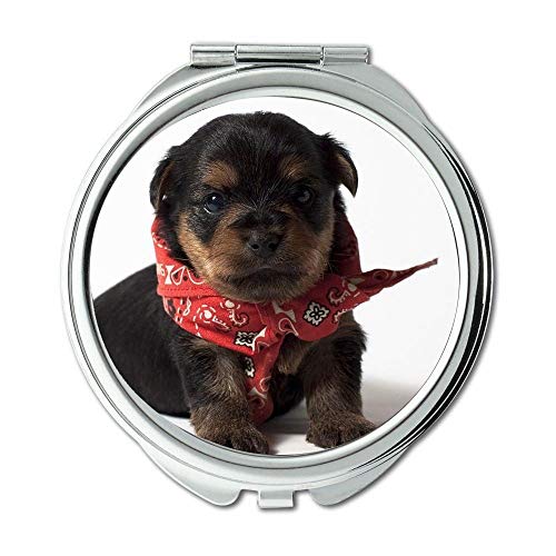 Espelho, espelho de viagem, cachorro chihuahua, espelho de bolso, ampliação de 1 x 2x