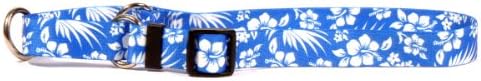 Amarelo Cão Design Aloha Blue Martingale Dog Collar encanta pescoço 9 a 12 , x-small/3/4