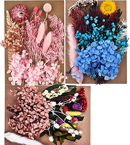Dalaran 6 Pack Flores secas para vela Flores secas de vela pressionadas Múltiplas flores naturais de flores prensadas coloridas