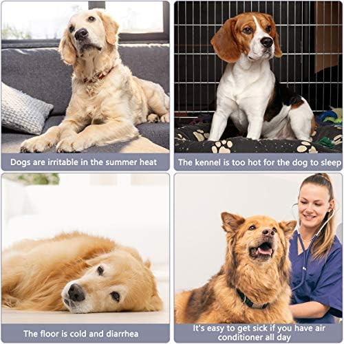 Tapete de resfriamento de cães petplus, almofadas de resfriamento para cães para cães - tapetes de cães Acessórios para