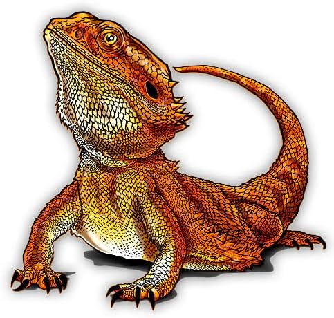 GT Graphics Express barbud Dragon Lizard Reptile Pet - Adesivo de vinil de 3 polegadas - para laptop de carro Phone - Decalque