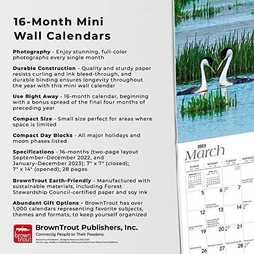 Oregon selvagem e cênica | 2023 7 x 14 polegadas Mini calendário de parede mensal | BrownTrout | EUA Estados Unidos da América Pacific West State Nature