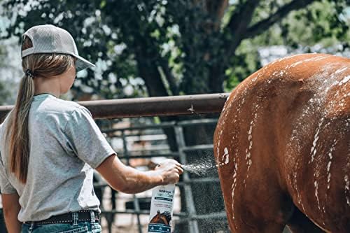 Vetericyn Foamcare Medicate Horse Shampoo | SHAMPOO EQUINO SPRAPACIVO COM CETOCONAZOLO PARA CURA ALIMENTAR DA PELE DE COMPLEIRA, PROBLEMAS FUNGAL, RING WORM E muito mais. 32 fl oz.