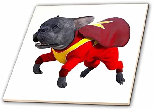 Cartoon gráficos de boehm 3drose - Bulldog francês de desenho animado em Super Dog Suit - Tiles