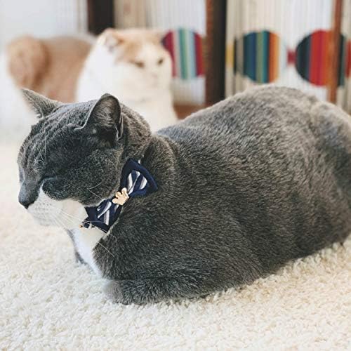 Necoichi Regal Crown Cat Collar