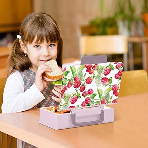 Susiyo Raspberry Fruit Bento Box Lunch Boites
