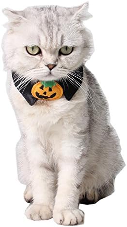 Leowow Pet Halloween Tie Dog Cat Halloween Collar Costume-Pumpkin