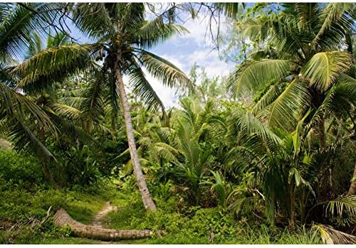 Baocicco 12x10ft ilhas tropicais cenários de ilhas para fotografia Palmeiras de coco Palmeiras Antecedentes da ilha