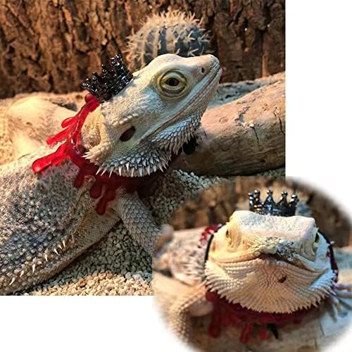Acessórios para roupas de dragão barbudo do Halloween, trajes de chapéu de dragão barbudo ajustáveis ​​para répteis lagartos gecko pequenos animais de estimação