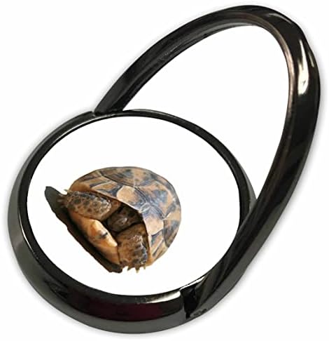 3DRose Young Spur Tartoise Tartoise, olhando para fora de sua concha - anéis de telefone