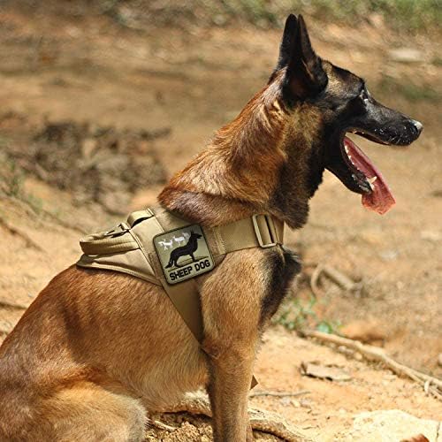 Morton Home Sheepdog Hook and Loop Patch Moral Tático Combate Militar Combate Citão