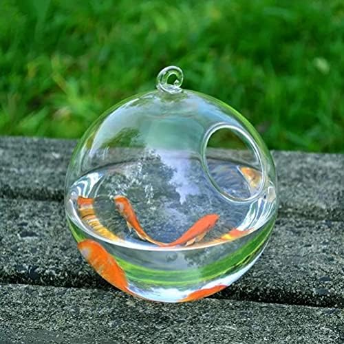 WSSBK 1 -SET REOLHA EMPLOTE VIDO Aquário de vidro peixe tanque de peixe vaso de planta de flor de planta transparente