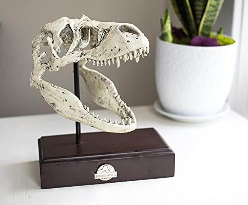 Jurassic World Tyrannosaurus Rex Skull Resin Réplica - Estátua de Dinosaur de 9x8 polegadas - Decoração de Esqueleto de Modelo Realista