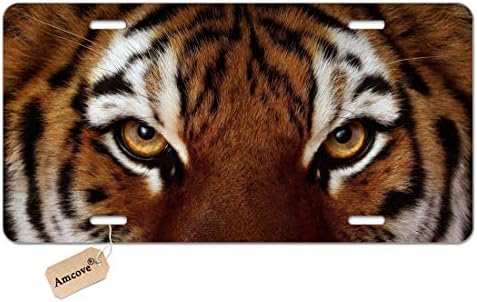 AMCOVE Placa personalizada Tiger Eyes Auto Tag para carro, caminhão, trailer, trailer, 6 x 12 polegadas
