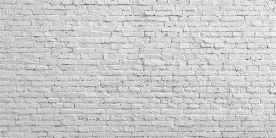 Yeele 20x10ft branco rústico parede de tijolos tema vintage tema de pedra fotografia de tijolo de fundo para adultos recém