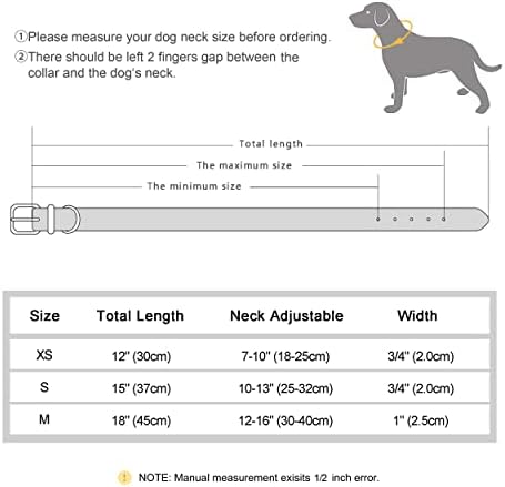 Didog Leather Dog Collar para pequenos cães médios, colares de cachorro de couro clássicos e macios com fivela de metal sólido