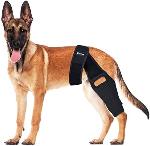 A cinta de joelho de cachorro Huame, aparelho de perna de cachorro para a perna traseira para ACL, deslocamento da tampa do joelho, artrite, reduz a dor e a inflamação com estabilizadores laterais