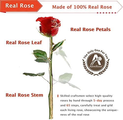 Aliverose Gifts Day Gifts para sua rosa, 24k Gold Rose feita de Rose Real - Design exclusivo Gold Plated Rose para Anniversary Valentines Day Birthday Gifts