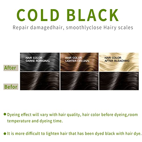10 PCs Shampoo de tinta de cabelo preto marrom preto para homens Mulheres, tinta de cabelo instantânea Ingredientes naturais