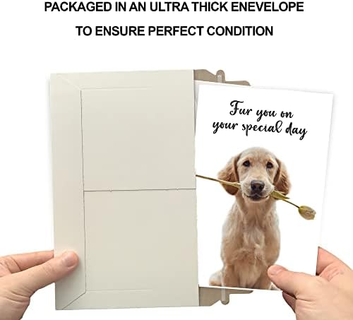 Prime Saudações Funny Dog Birthday Birthday Card Pun com Golden Retriever, Made in America, Card de cartão grosso e ecológico com envelope premium 5in x 7,75in, embalado em mala direta de proteção