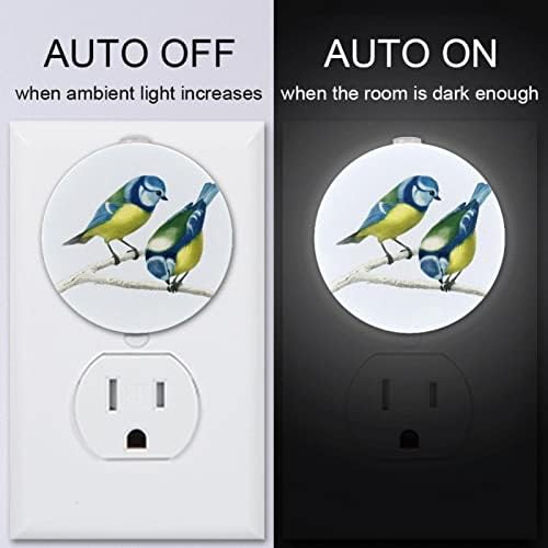 2 Pacote de plug-in Nightlight Night Night Light Birds Pattern com sensor do anoitecer ao amanhecer para o quarto de crianças, viveiro, cozinha, corredor