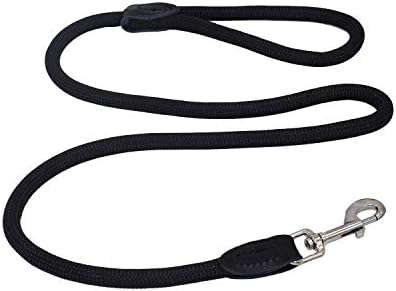 Molaxpet Dog Leash 4 pés de nylon corda longa confortável para cães pequenos médios Treinamento diário Caminhando