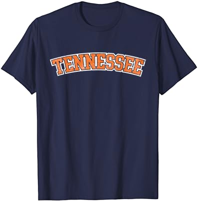 Tennessee vintage TN T-shirt Retro Retwork State Shevenir Gift