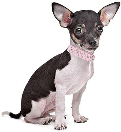 Colarinho de estimação de strassleston colarinho de cachorro de cachorro brilhante colar de cachorro de cachorro de cristal rosa pequeno, s