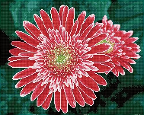 Diamond Dotz Pink Gerberas Diamond Painting Kit 15,75 x 19,69