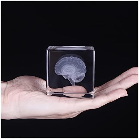 Brain Cérebro 3D Cristal Glass Cube Home Desktop Decorativo Artesanato de Moda Moda Nórdica Decoração Cristal de Cristal