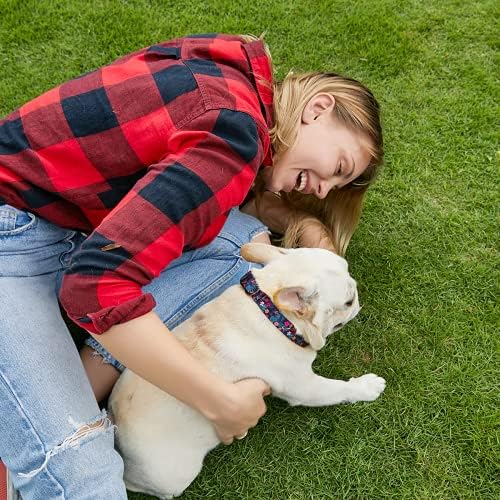 Qqpets colarinho de cachorro pequeno médio grande: nylon ajustável padrão floral fofo para menina/garoto de estimação Soft confortável