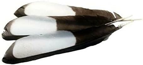 10 PCS Magpie Wing Feathers - Eurásia - 5-7 - Black -Breno Naturais