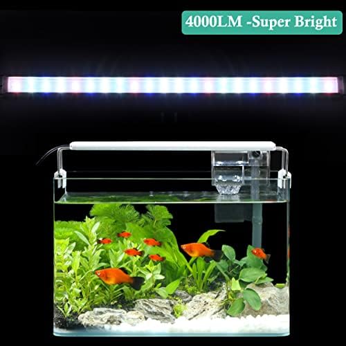 Hitop Full Spectrum LED Aquarium Light - 12 ”16” 24 ”32” Luz de tanque de peixes clássicos com LEDs RGB, com timer e suportes