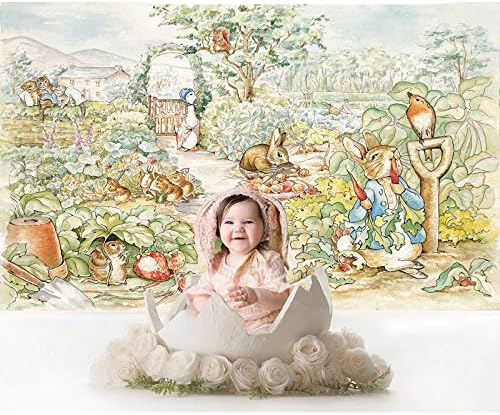 Cenários de coelho para fotografia coelho bebê decorações de festas de feliz aniversário background photo foto de