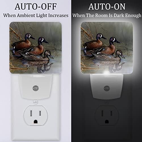 WallDor Wildlife Duck Night Light, Smart Dusk to Dawn Sensor Warm LED LED LEITO NOITE PARA O QUARTO DE CRIANÇAS CRIANÇAS DO MENOR